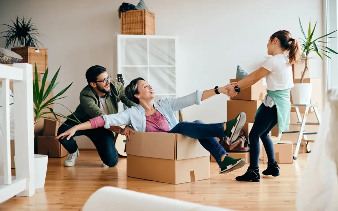 Are All Stafford Removals Companies Insured and Accredited?
